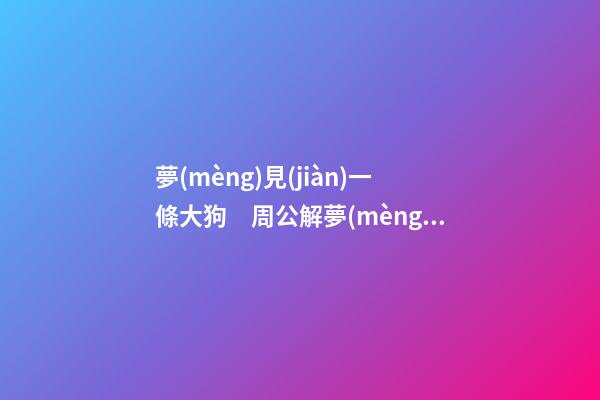 夢(mèng)見(jiàn)一條大狗　周公解夢(mèng)之夢(mèng)到一條大狗